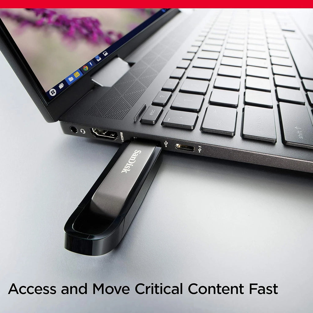 SanDisk Extreme Go 256GB USB 3.2 USB Flash Drive, Black