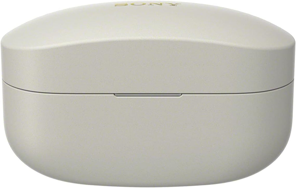 Sony WF-1000XM4 Silver